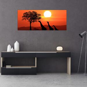 Slika žirafa u zalasku sunca (120x50 cm)