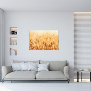 Slika - polje sa žitom (90x60 cm)