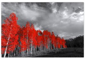 Slika - Drveće u jesenskim bojama (90x60 cm)