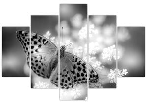 Slika - Detalj leptira koji oprašuje cvijet (150x105 cm)