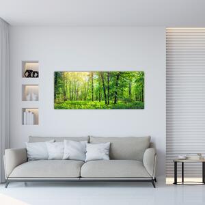 Slika - Proljetna listopadna šuma (120x50 cm)