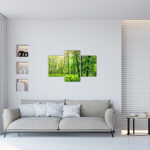 Slika - Proljetna listopadna šuma (90x60 cm)