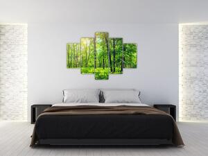 Slika - Proljetna listopadna šuma (150x105 cm)