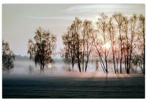 Slika - Vlažno i prohladno jutro (90x60 cm)