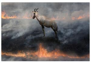 Slika divokoze u plamenu (90x60 cm)