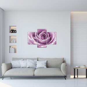 Slika detalja cvijeta ruže (90x60 cm)
