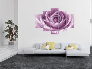 Slika detalja cvijeta ruže (150x105 cm)