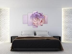 Slika detalja cvijeta ruže (150x105 cm)
