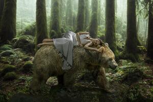 Fotografija Dream Bear, Marcel Egger