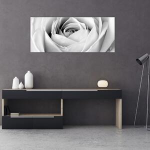 Slika - Detalj cvijeta ruže (120x50 cm)