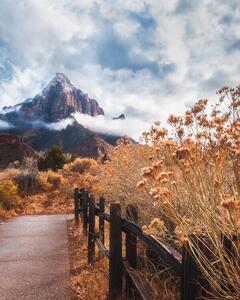 Fotografija The trail to the rock, Syed Iqbal