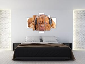 Slika psa sa slušalicama (150x105 cm)