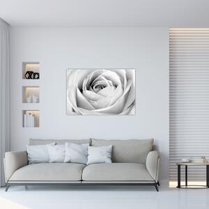 Slika - Detalj cvijeta ruže (90x60 cm)