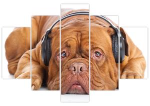 Slika psa sa slušalicama (150x105 cm)