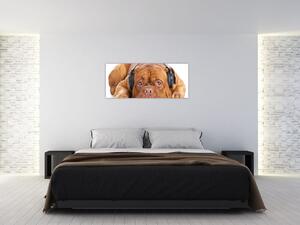 Slika psa sa slušalicama (120x50 cm)