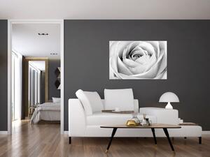 Slika - Detalj cvijeta ruže (90x60 cm)