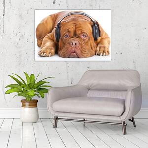 Slika psa sa slušalicama (90x60 cm)
