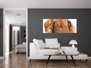 Slika psa sa slušalicama (120x50 cm)