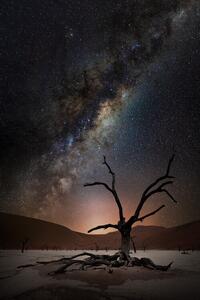 Fotografija Namibia Stars, Marcel Egger