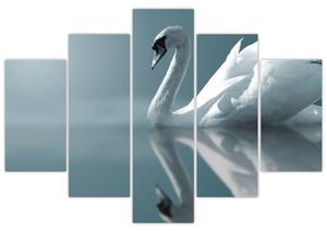 Slika - Bijeli labud (150x105 cm)