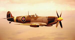 Fotografija Spitfire aircraft in flight (sepia tone), Michael Dunning