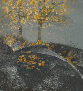 Ilustracija Falling leaves, Nel Talen, (35 x 40 cm)