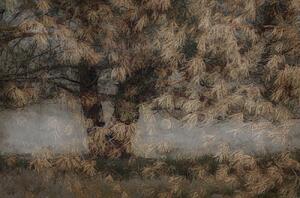 Ilustracija Pine tree, Nel Talen, (40 x 26.7 cm)