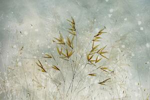 Ilustracija Wintertime, Nel Talen, (40 x 26.7 cm)