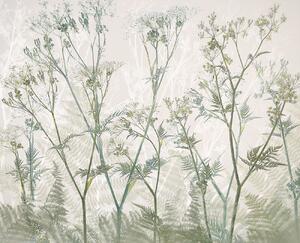 Ilustracija Cow parsley, Nel Talen, (40 x 35 cm)