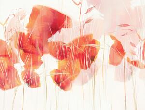 Ilustracija Modern poppies, Nel Talen, (40 x 30 cm)