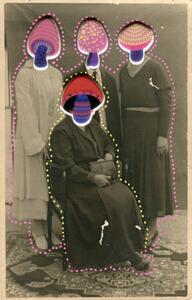 Ilustracija Fungus Family, Naomi Vona, (26.7 x 40 cm)