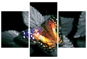 Slika leptira (90x60 cm)