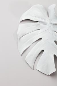 Umjetnička fotografija Monstera White 01, Studio Collection, (26.7 x 40 cm)