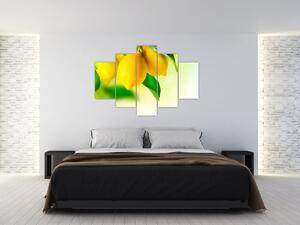 Slika limuna (150x105 cm)