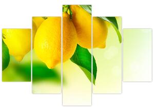 Slika limuna (150x105 cm)
