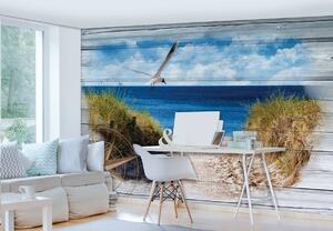 Foto tapeta - Galeb na plaži - imitacija ploče (152,5x104 cm)