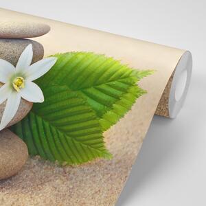 Fototapeta bijeli cvijet i kameni u pijesku