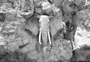 Foto tapeta - Slon uklesan u stijenama - siv (152,5x104 cm)