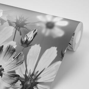 Tapeta cvijeće u crno-bijelom dizajnu