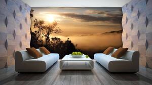 Foto tapeta - Izlazak sunca nad maglovitom šumom (152,5x104 cm)