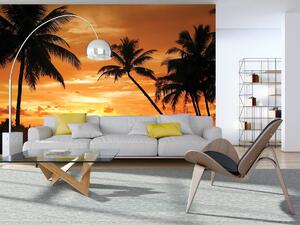 Foto tapeta - Palme na zalasku sunca (152,5x104 cm)