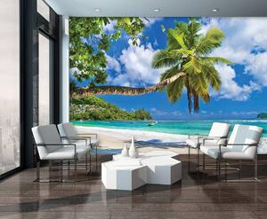 Foto tapeta - Palme, plaža i ocean (152,5x104 cm)
