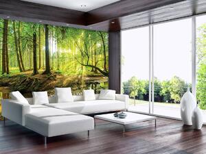 Foto tapeta - Sunčana šuma (152,5x104 cm)