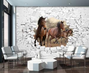 Foto tapeta - 3D konji u zidu (152,5x104 cm)