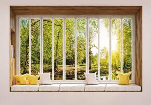 Foto tapeta - Sunčani pogled s prozora na stabla (152,5x104 cm)