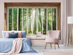 Foto tapeta - Pogled na šumu s prozora (152,5x104 cm)