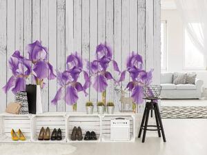 Foto tapeta - Irisi na drvenim pločama (152,5x104 cm)