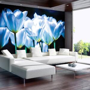 Foto tapeta - Cvijeće - dašak plave boje (152,5x104 cm)