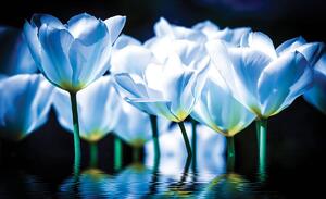 Foto tapeta - Cvijeće - dašak plave boje (152,5x104 cm)