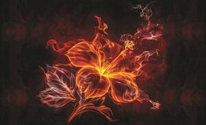 Foto tapeta - Cvijet - vatra i dim (152,5x104 cm)